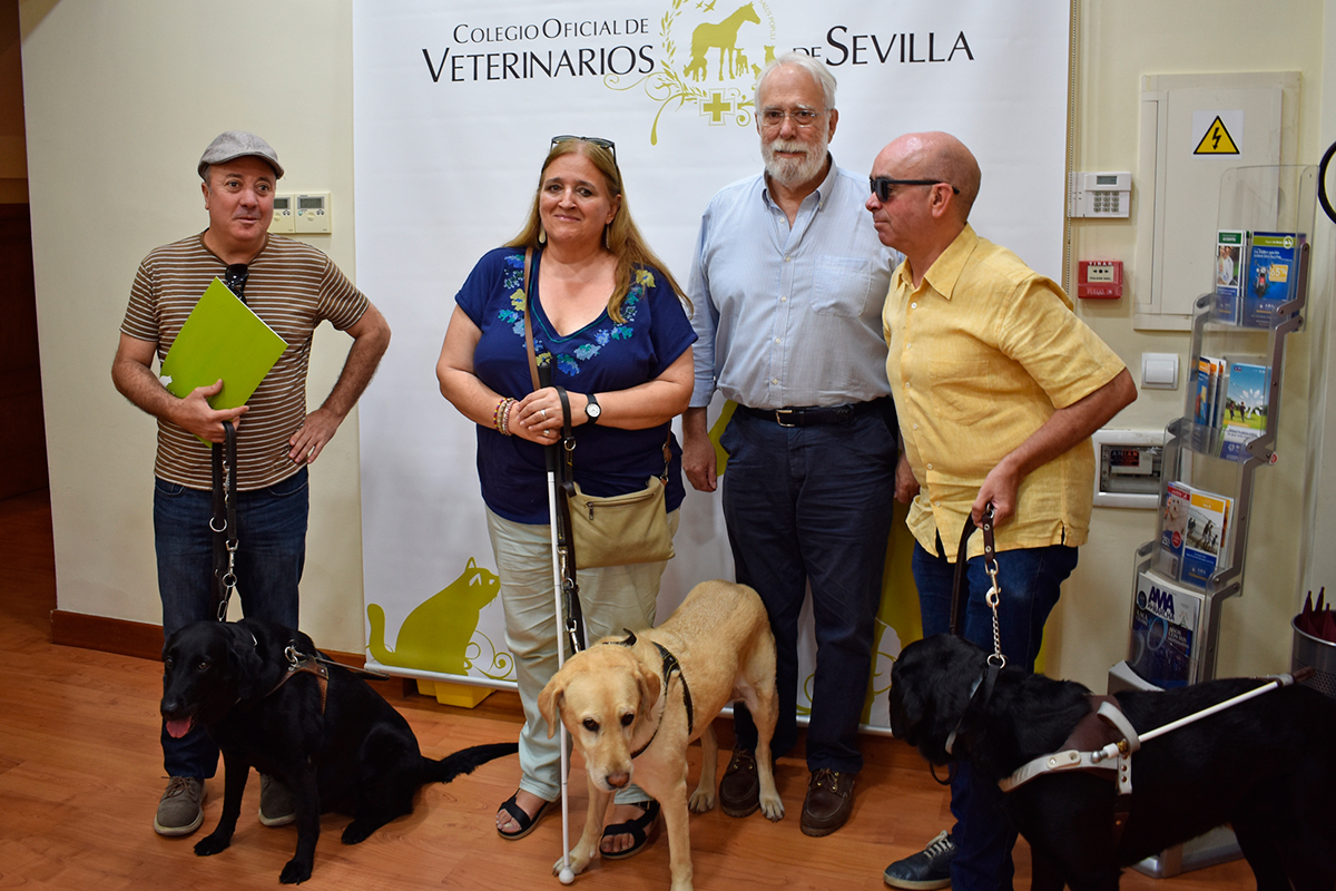 el-cov-de-sevilla-se-alia-con-la-asociacion-de-usuarios-de-perros-guia-de-andalucia