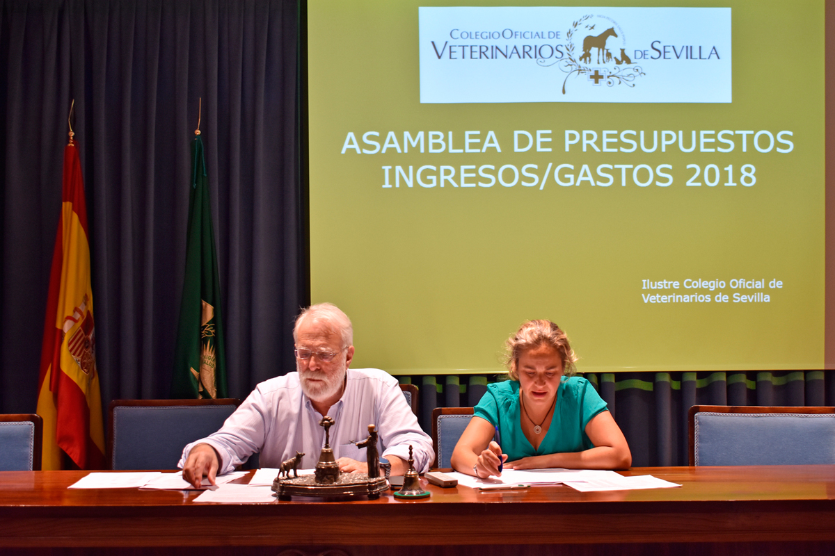 el cov de sevilla celebra su asamblea general ordinaria de colegiados el cov de sevilla celebra su asamblea general ordinaria de colegiados