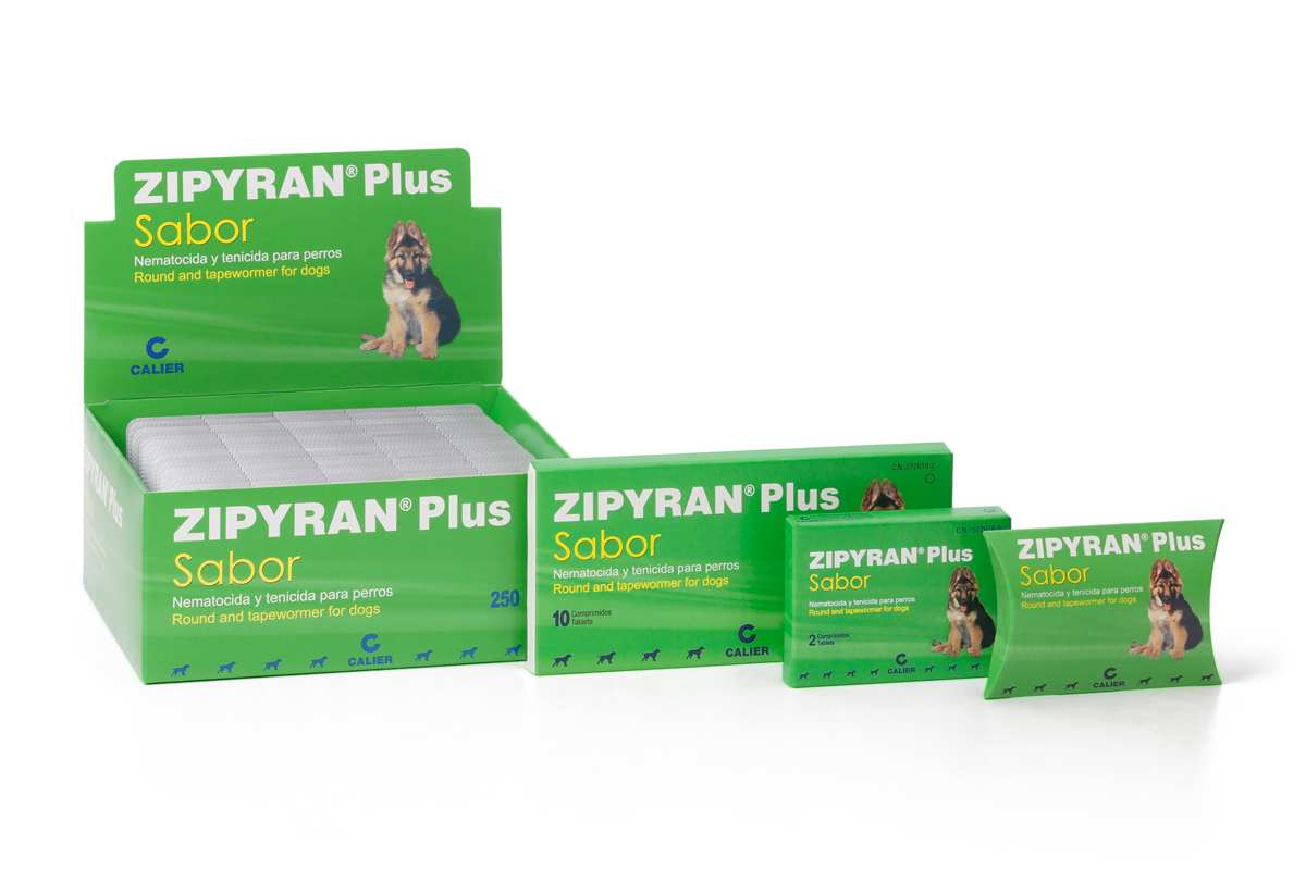 zipyransupsup ms de 15 aos protegiendo a las mascotas y a sus propietarios zipyransupsup ms de 15 aos protegiendo a las mascotas y a sus propietarios
