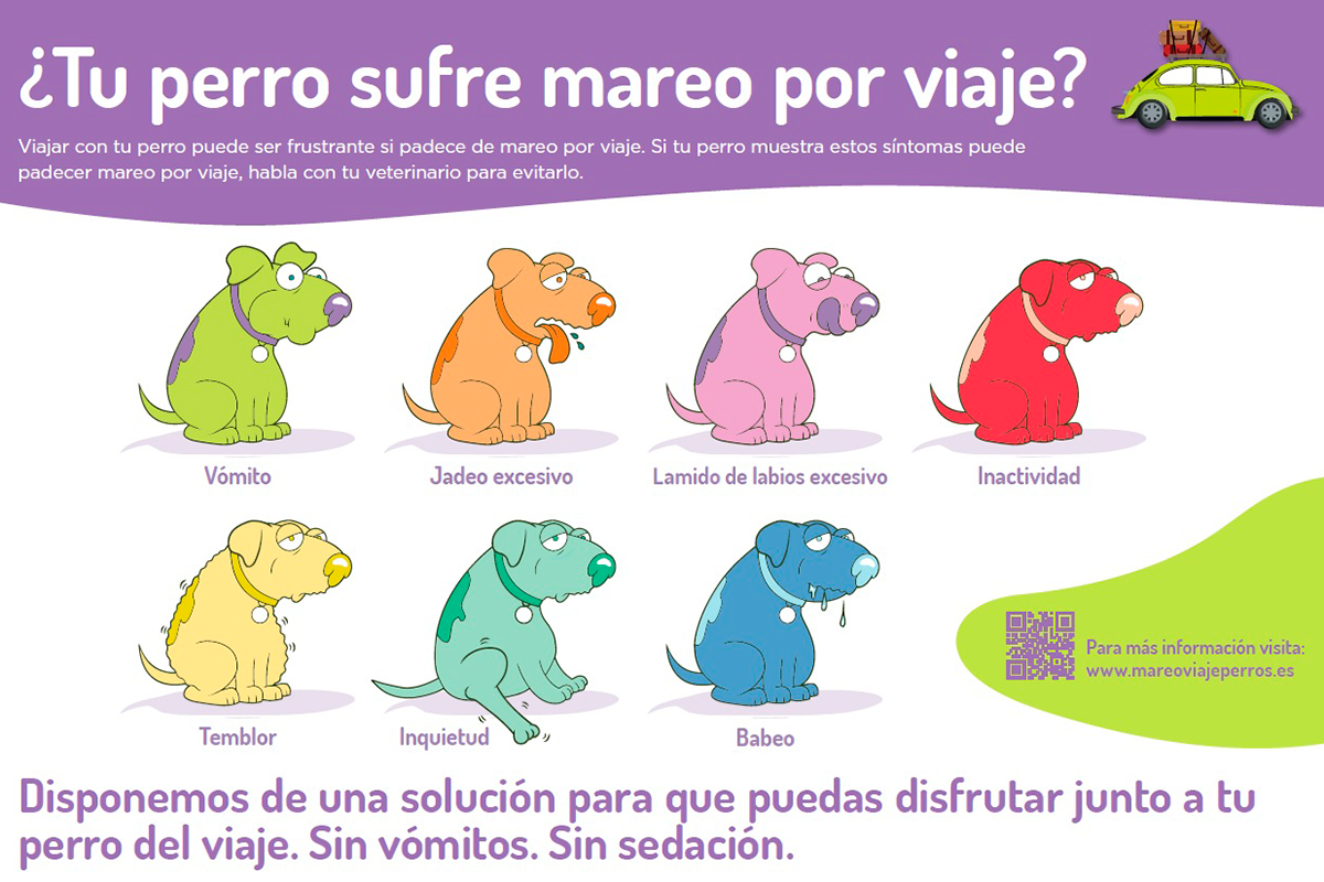 zoetis actualiza la imagen de su campaa de concienciacin sobre el mareo por viaje en perros zoetis actualiza la imagen de su campaa de concienciacin sobre el mareo por viaje en perros