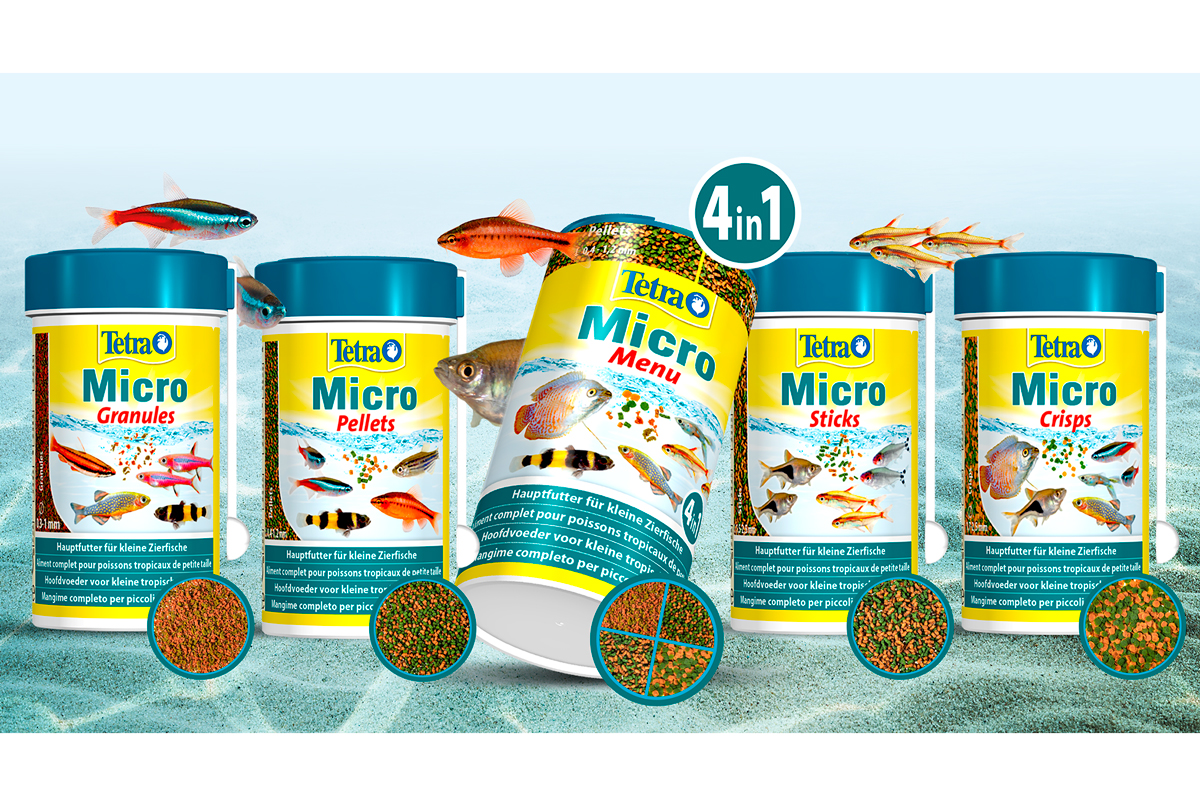 tetra microfood la gama de alimentacin para peces pequeos tetra microfood la gama de alimentacin para peces pequeos