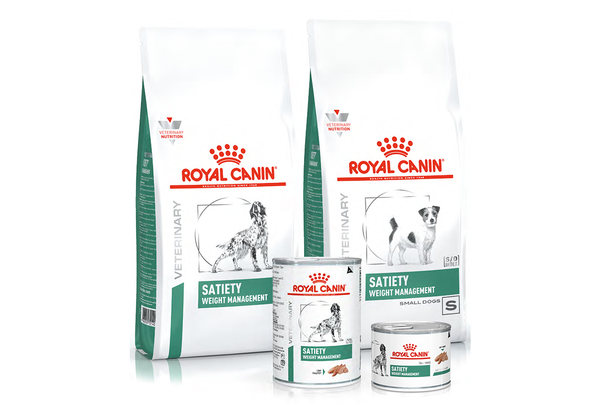 Royal canin satiety для кошек. Сатаети Вейт менеджмент пауч. Royal Canin satiety Weight Management 30 сколько давать. Цепочка поставок Royal Canin. Satiety Weight Management (Сэтайети Вейт менеджмент), паштет.