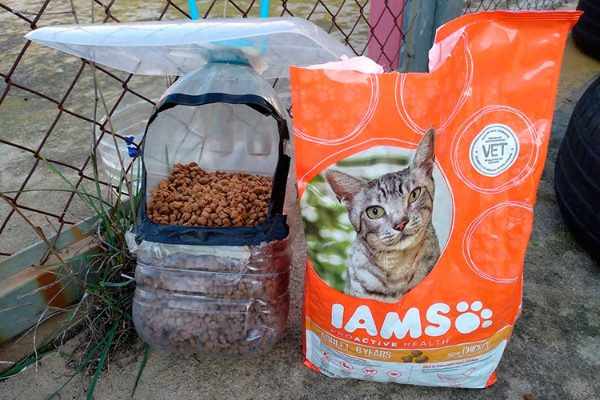 los-gatos-de-sa-gatonera-blanes-reciben-el-mejor-de-los-regalos-de-la