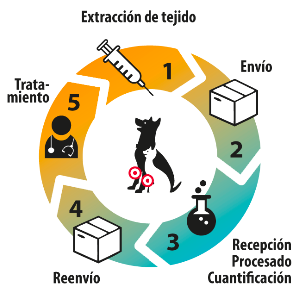 equicord-se-alia-con-petia-vet-health-para-potenciar-el-servicio-de-t