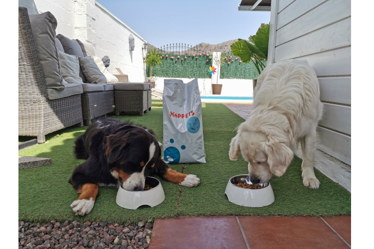 happets-la-empresa-que-prepara-la-comida-personalizada-para-tu-perro