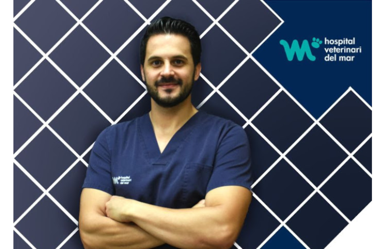 inar sobre Cirugía Oncológica en pequeños animales IM Veterinaria