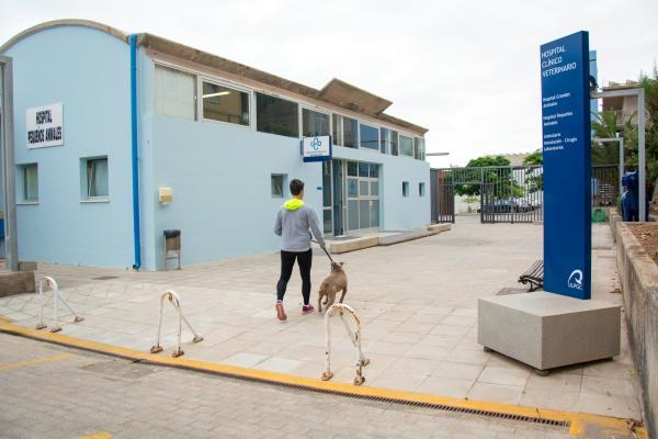 la-facultad-de-veterinaria-de-la-ulpgc-obtiene-la-acreditacion-europe