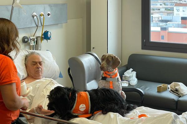 primer-programa-de-terapia-asistida-con-perros-para-pacientes-de-una-u