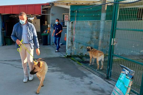 pontevedra-ofrecera-cursos-gratuitos-para-ensenar-a-educar-mascotas pontevedra-ofrecera-cursos-gratuitos-para-ensenar-a-educar-mascotas