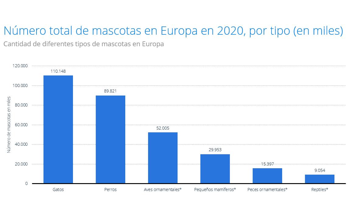 los-gatos-se-convierten-en-el-tipo-de-mascota-favorito-en-europa-110