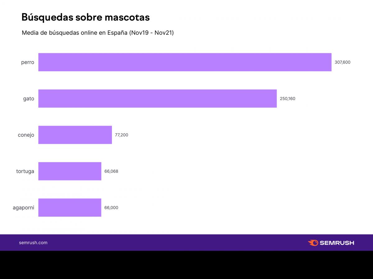 el-ultimo-estudio-de-semrush-desvela-las-7-mascotas-mas-populares-en