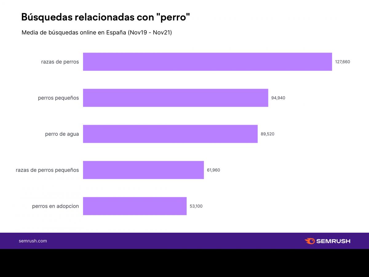 el-ultimo-estudio-de-semrush-desvela-las-7-mascotas-mas-populares-en