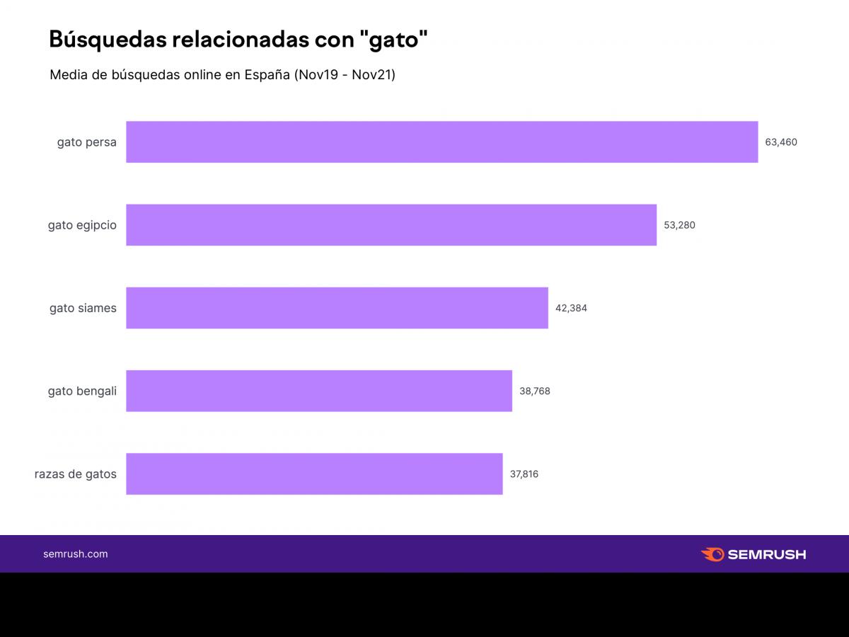 el-ultimo-estudio-de-semrush-desvela-las-7-mascotas-mas-populares-en