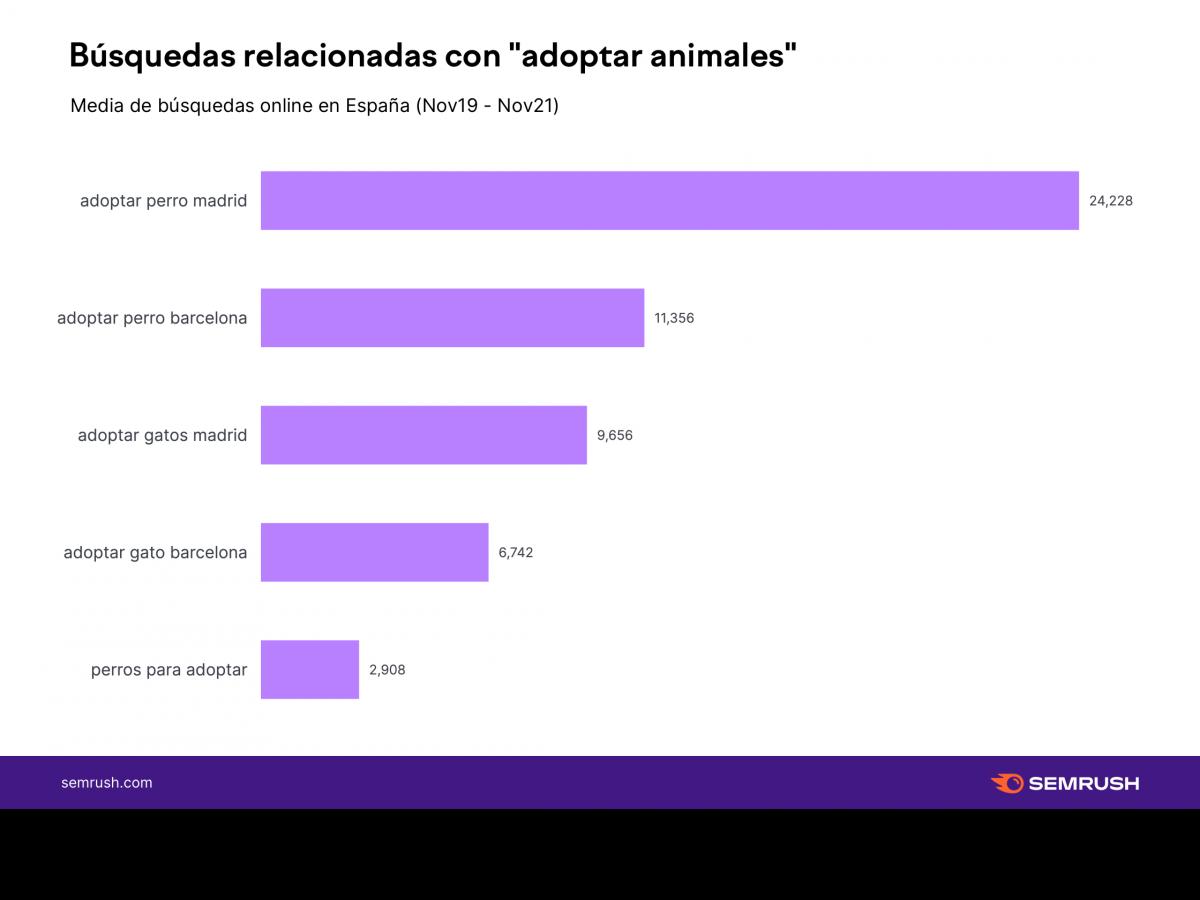 el-ultimo-estudio-de-semrush-desvela-las-7-mascotas-mas-populares-en