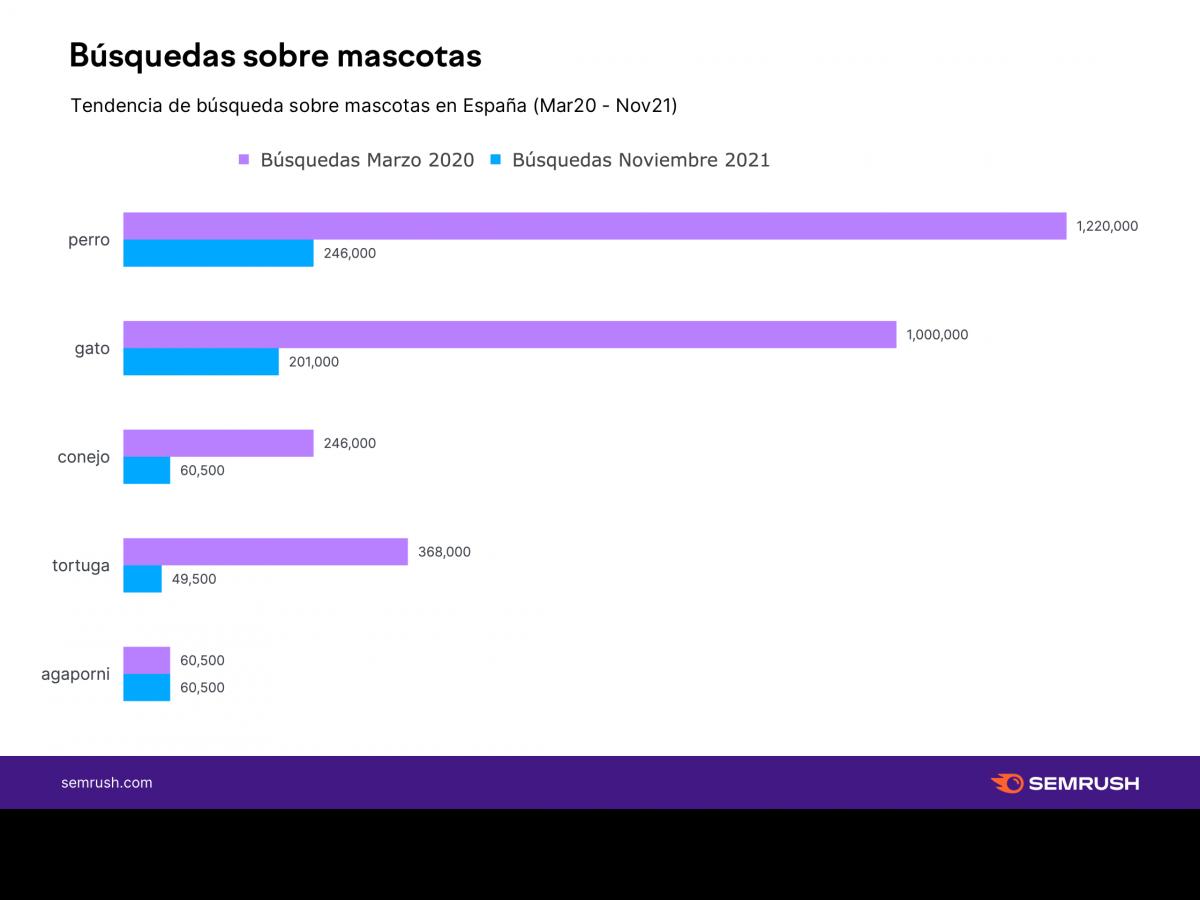 el-ultimo-estudio-de-semrush-desvela-las-7-mascotas-mas-populares-en