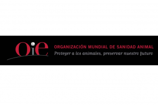 La OIE insta a que el sector animal asuma el liderazgo en la vigilancia de virus con potencial zoónotico | IM Veterinaria La OIE insta a que el sector animal asuma el liderazgo en la vigilancia de virus con potencial zoónotico | IM Veterinaria