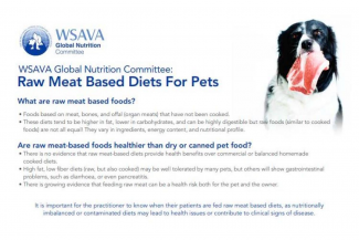 WSAVA promueve la importancia de la nutrición en mascotas | IM Veterinaria