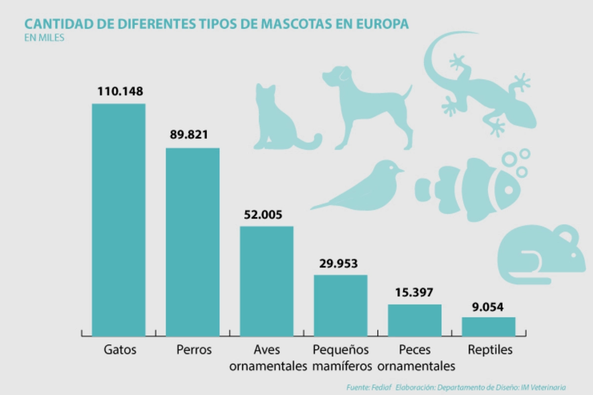 mas-de-300-millones-de-mascotas-europa-un-continente-empet-friend