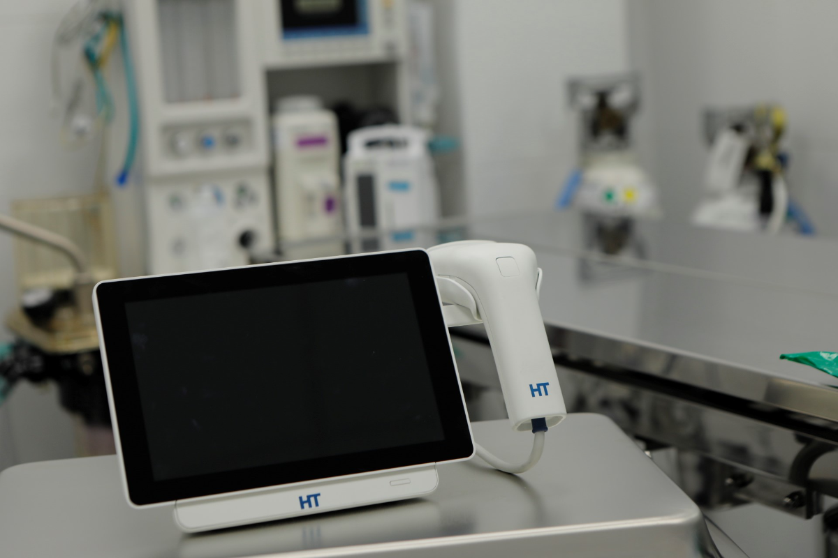 htvet-es-una-puerta-de-futuro-para-el-abordaje-rapido-de-tumores-de htvet-es-una-puerta-de-futuro-para-el-abordaje-rapido-de-tumores-de