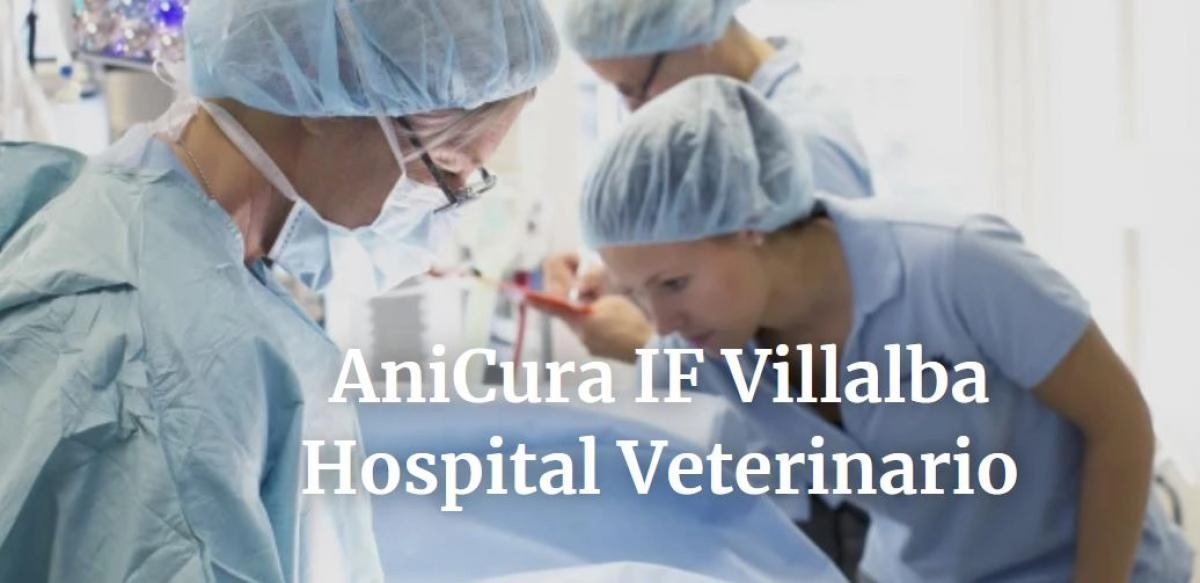 los-hospitales-veterinarios-if-villalba-y-la-corraliza-se-incorporan-a