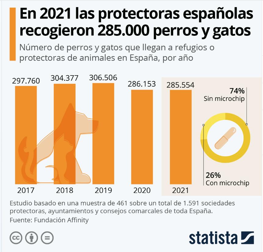 baja-el-numero-de-animales-abandonados-en-2021 baja-el-numero-de-animales-abandonados-en-2021