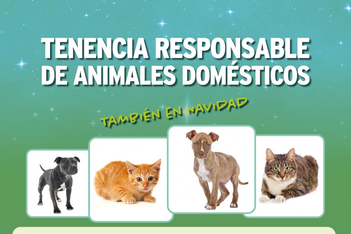Alcal De Henares Promueve La Concienciaci n Sobre Tenencia De Mascotas alcal-de-henares-promueve-la-concienciaci-n-sobre-tenencia-de-mascotas