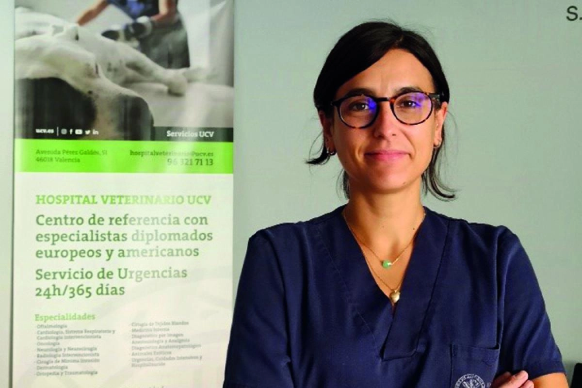 en-el-sector-de-la-anestesiologia-hay-mucha-voluntad-de-mejorar