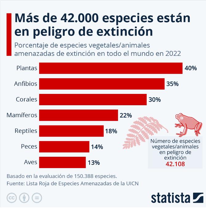 42000-especies-de-animales-y-vegetales-en-peligro-de-extincion-la-m