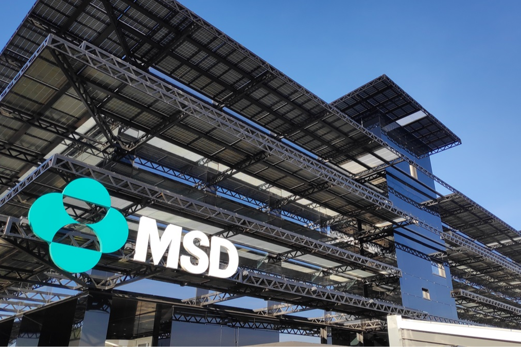 la-madurez-del-enfoque-one-health-implica-corresponsabilidad-y-partici la-madurez-del-enfoque-one-health-implica-corresponsabilidad-y-partici