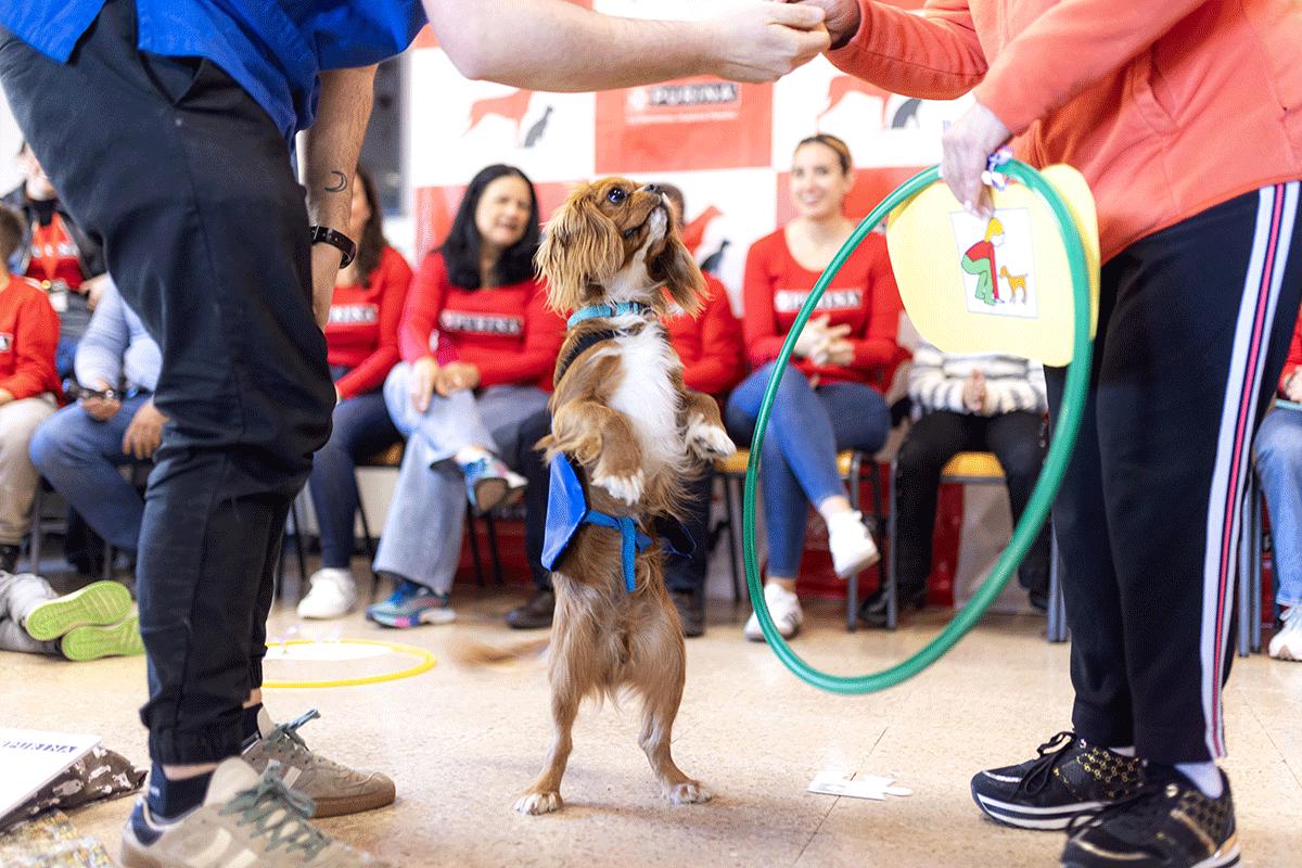 purina-convoca-la-primera-sesion-de-terapia-asistida-de-perros-capaci