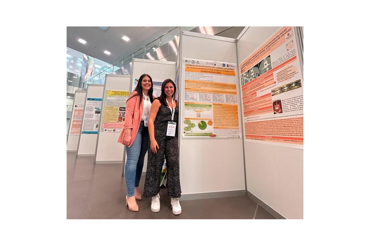 el-hospital-clinico-veterinario-de-cordoba-presenta-un-estudio-sobre