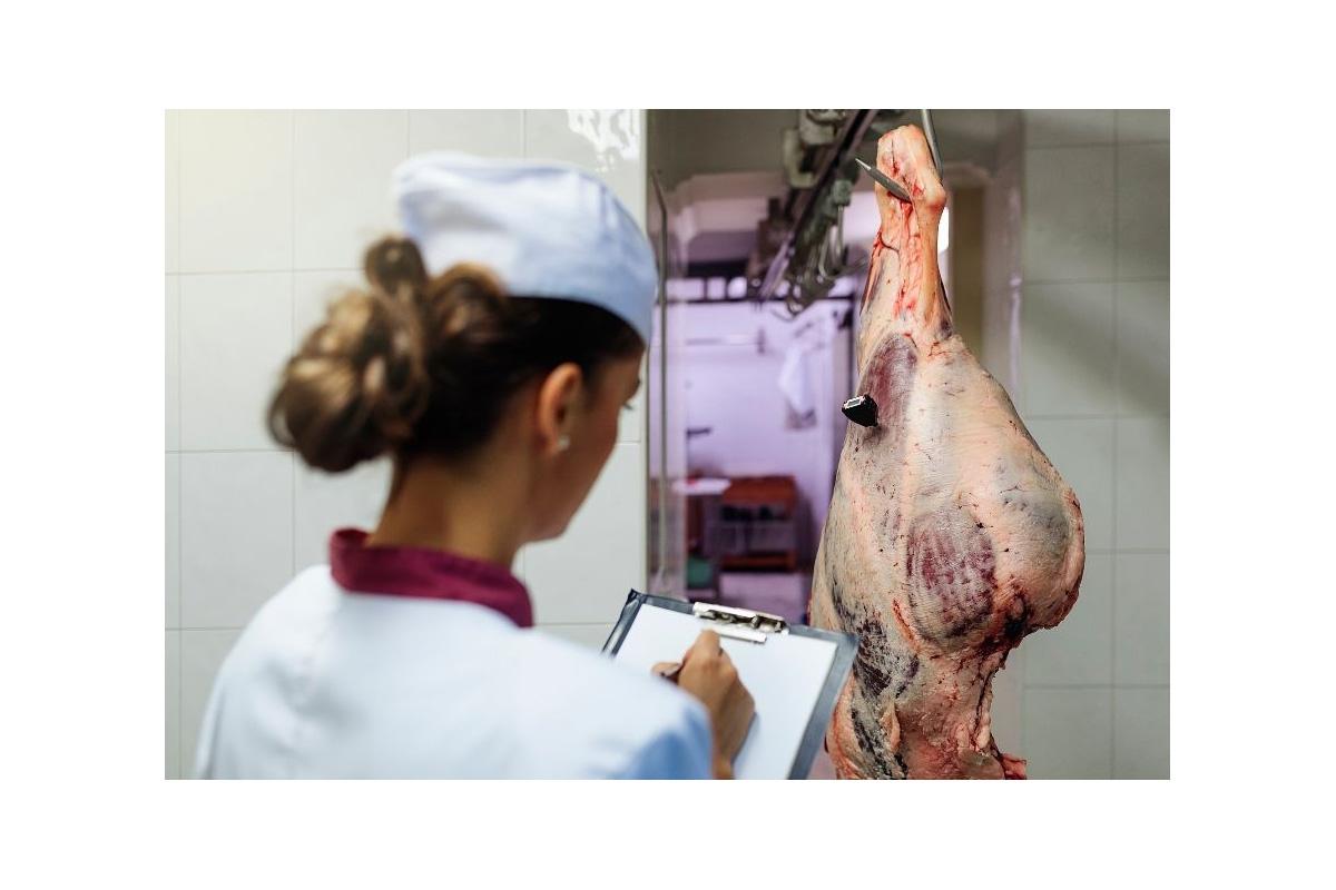 el-colegio-de-veterinarios-de-madrid-destaca-el-papel-esencial-de-los