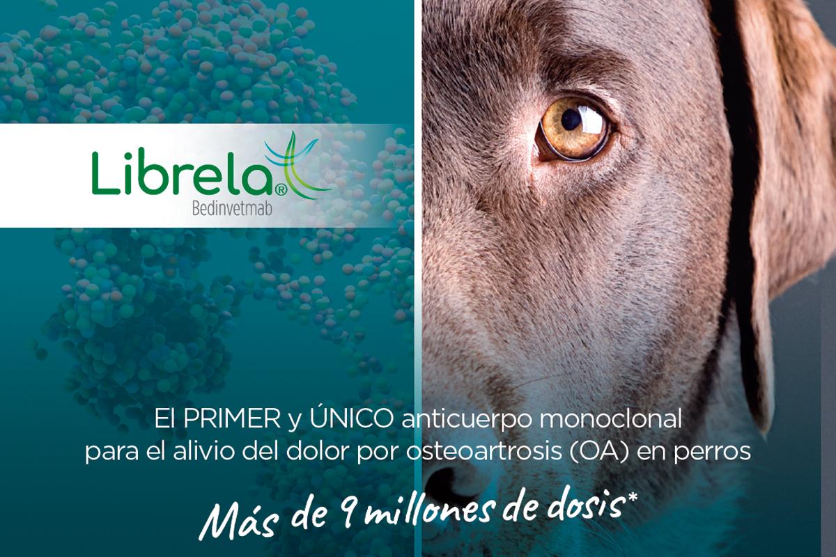 tratar-la-osteoartrosis-cuanto-antes