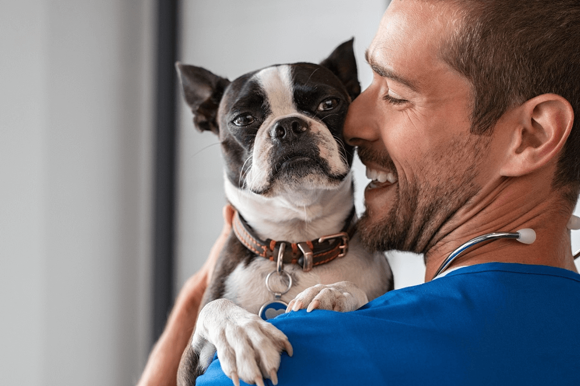 vetfamily-y-qdq-firman-un-acuerdo-para-digitalizar-mas-de-600-clinic