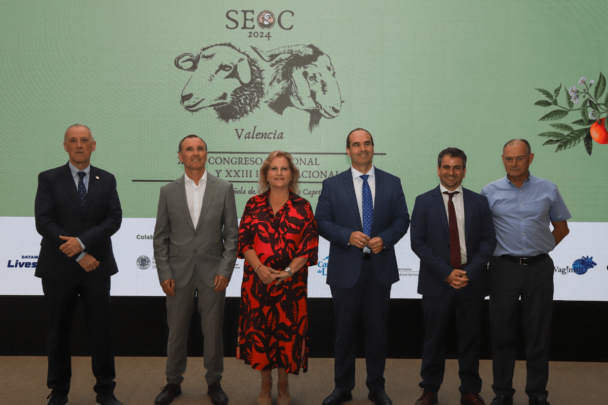 el-congreso-seoc-reune-a-veterinarios-tecnicos-y-cientificos-para