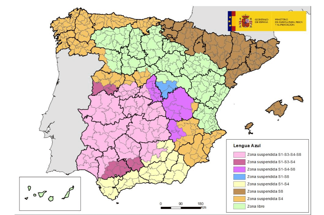 primer-caso-de-virus-de-la-lengua-azul-serotipo-8-detectado-en-guipuz