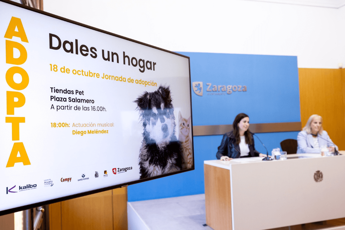 zaragoza-promueve-la-adopcion-de-mascotas-con-una-jornada-en-la-plaza