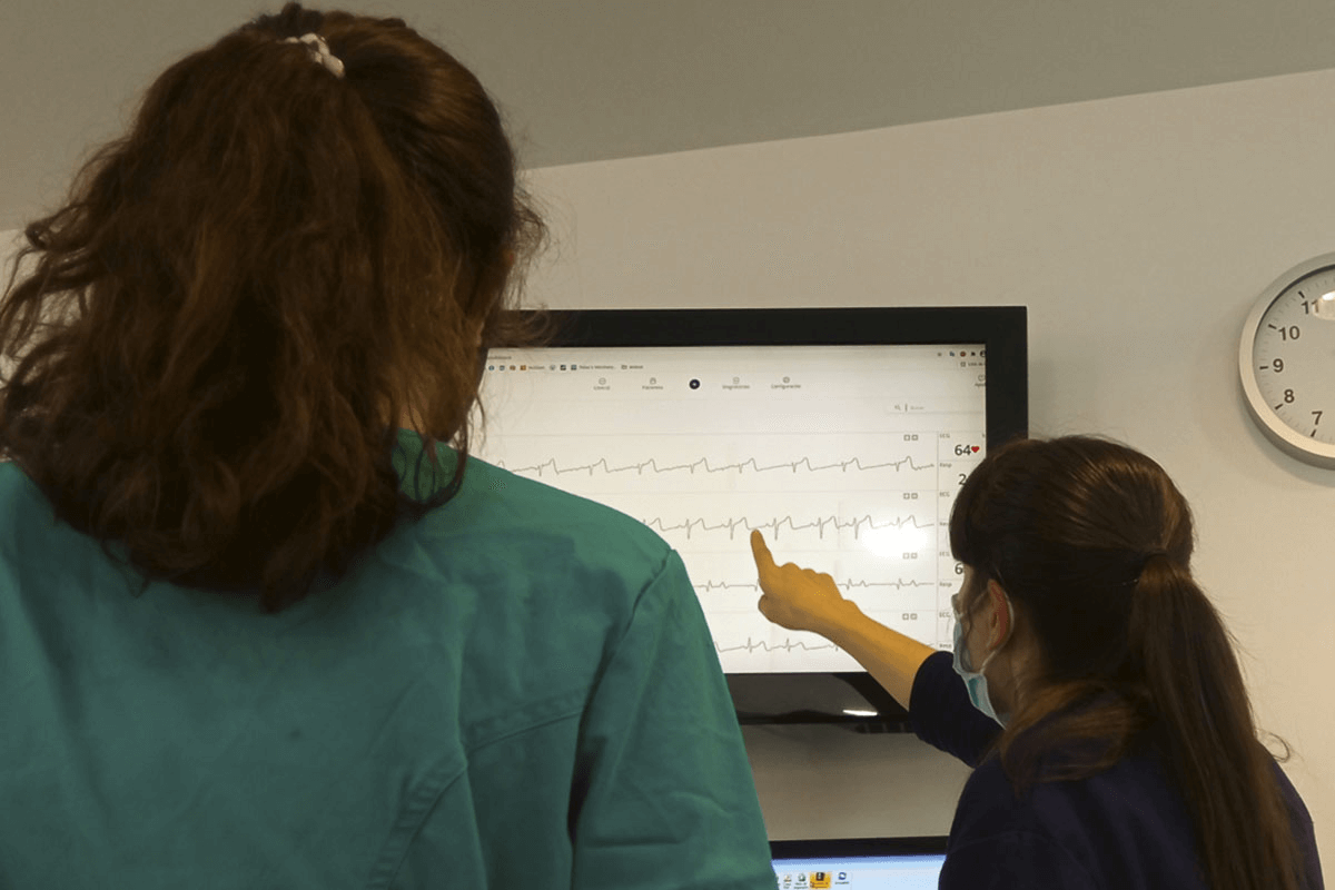 dinbeat-uno-transformando-la-medicina-veterinaria-con-inteligencia-ar