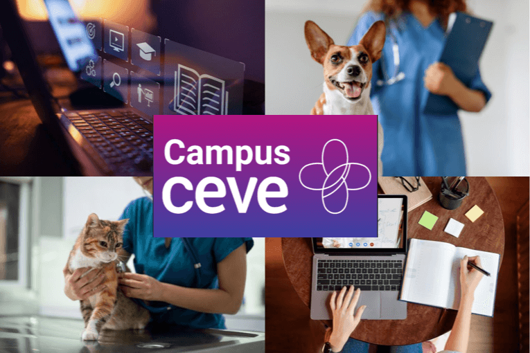 descubre-campus-ceve-innovacion-y-capacitacion-para-profesionales-d