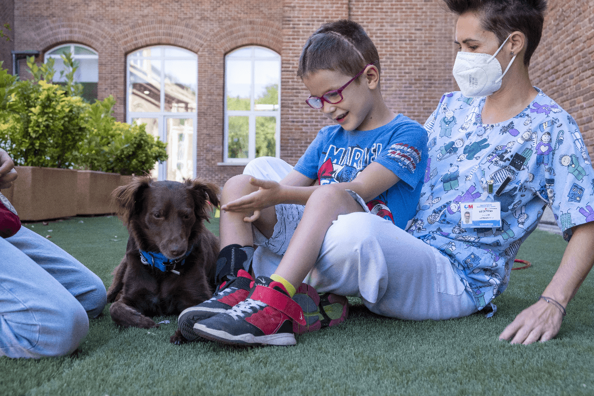 los-perros-de-terapia-aliados-clave-en-la-recuperacion-de-pacientes
