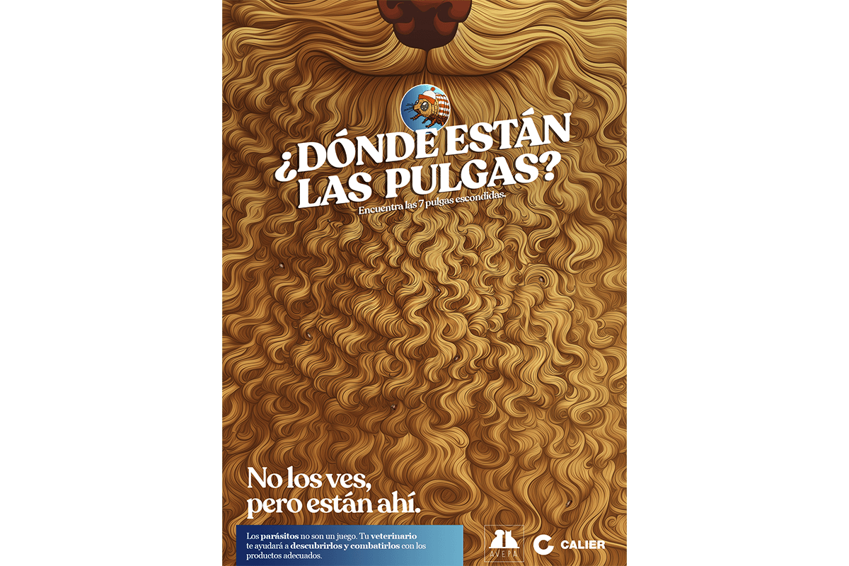calier-y-avepa-lanzan-la-campana-no-los-ves-pero-estan-ahi-para