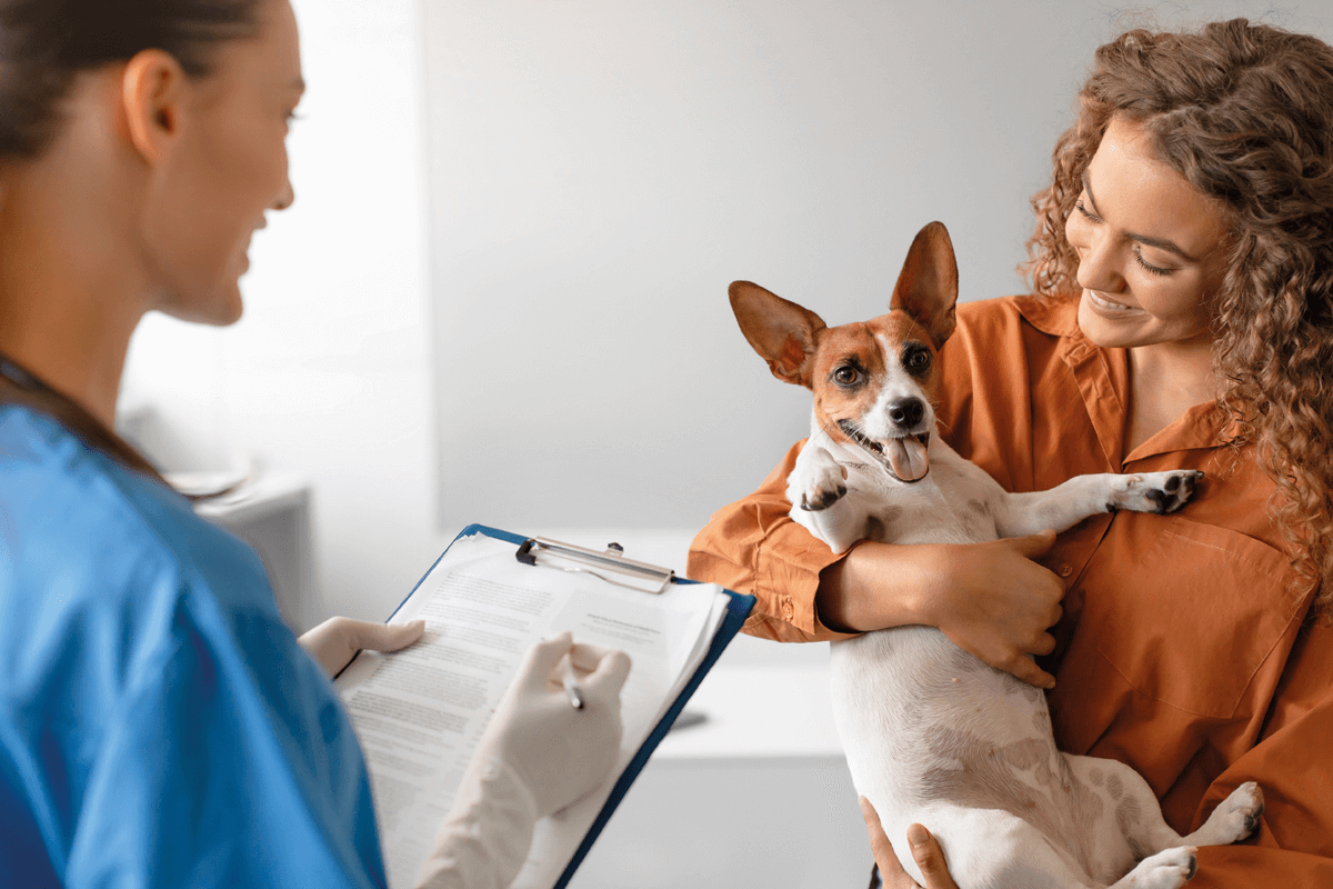 la-importancia-de-conocer-bien-a-nuestros-clientes-en-las-clinicas-ve