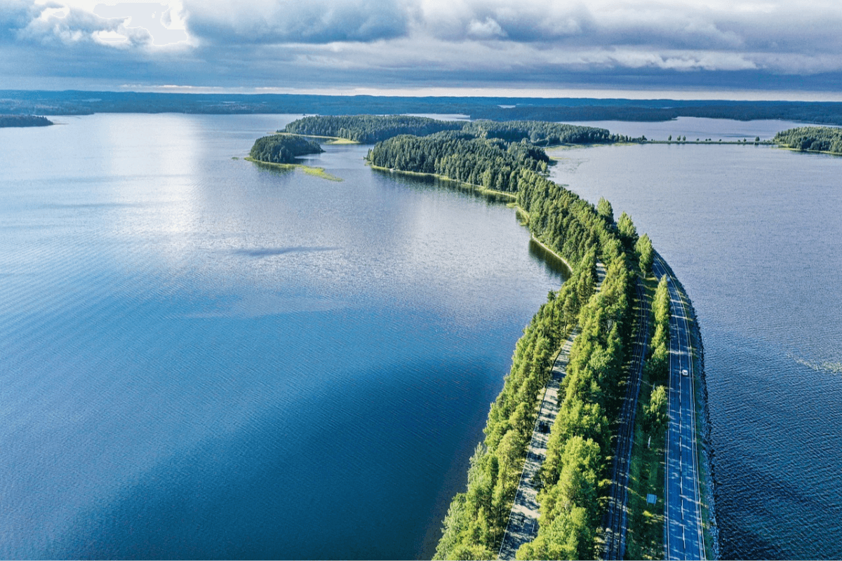 un-estudio-revela-perdida-de-biodiversidad-en-finlandia-por-la-desapa