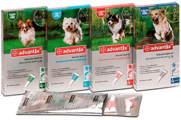 advantix y seresto expertos en prevencioacuten advantix y seresto expertos en prevencioacuten