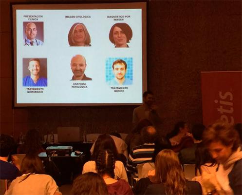 el antitumoral palladia de zoetis vuelve a colaborar con las jornadas oncoloacutegicas citos forum el antitumoral palladia de zoetis vuelve a colaborar con las jornadas oncoloacutegicas citos forum