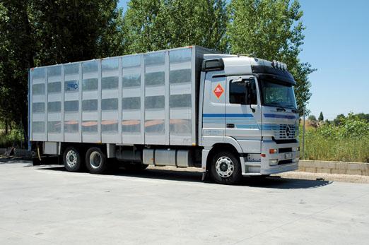 aprueban la actualizacioacuten de la normativa sobre sanidad y proteccioacuten animal durante el transporte aprueban la actualizacioacuten de la normativa sobre sanidad y proteccioacuten animal durante el transporte