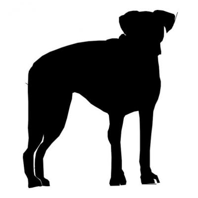 asia podriacutea ser el origen de la relacioacuten entre perros y hombres asia podriacutea ser el origen de la relacioacuten entre perros y hombres