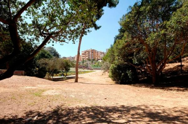 el ayuntamiento de lacutehospitalet habilitaraacute un aacuterea para perros en el parque de can buxeres el ayuntamiento de lacutehospitalet habilitaraacute un aacuterea para perros en el parque de can buxeres