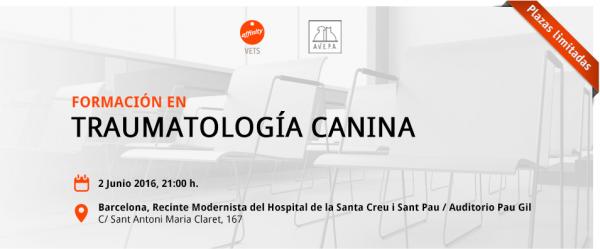 barcelona acoge otro seminario de formacioacuten avepa affinity sobre traumatologiacutea canina barcelona acoge otro seminario de formacioacuten avepa affinity sobre traumatologiacutea canina