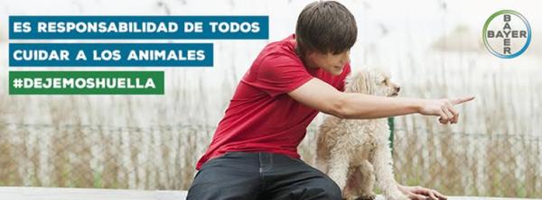 quotdejemos huellaquot la nueva paacutegina de bayer en facebook que fomenta el cuidado responsable de los animales quotdejemos huellaquot la nueva paacutegina de bayer en facebook que fomenta el cuidado responsable de los animales